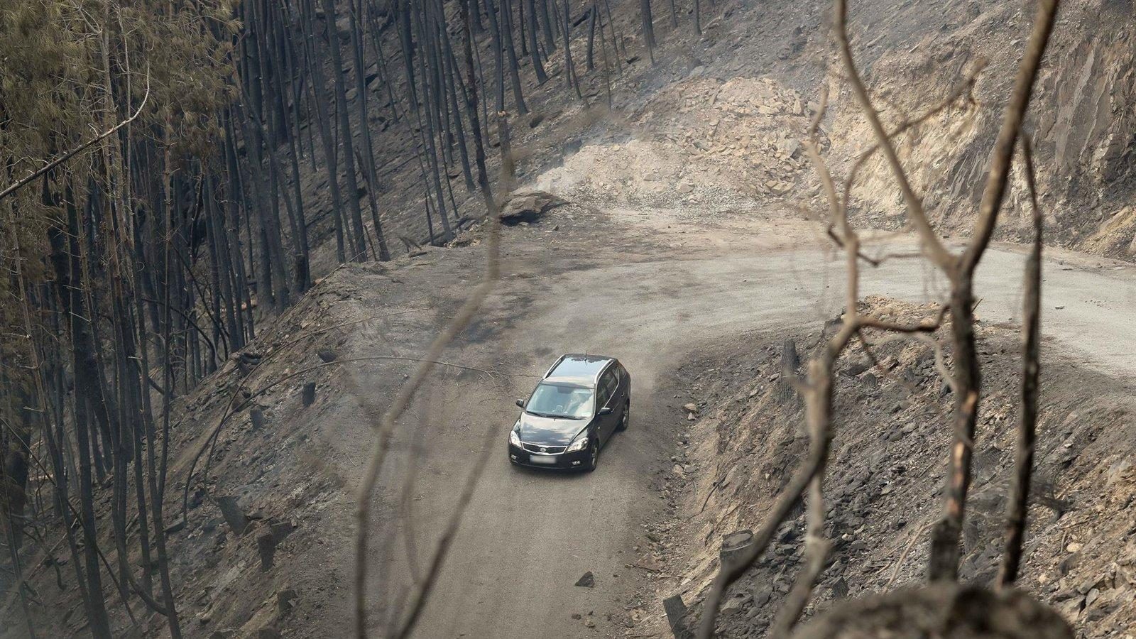 Cómo escapar de un incendio forestal si viajas en automóvil