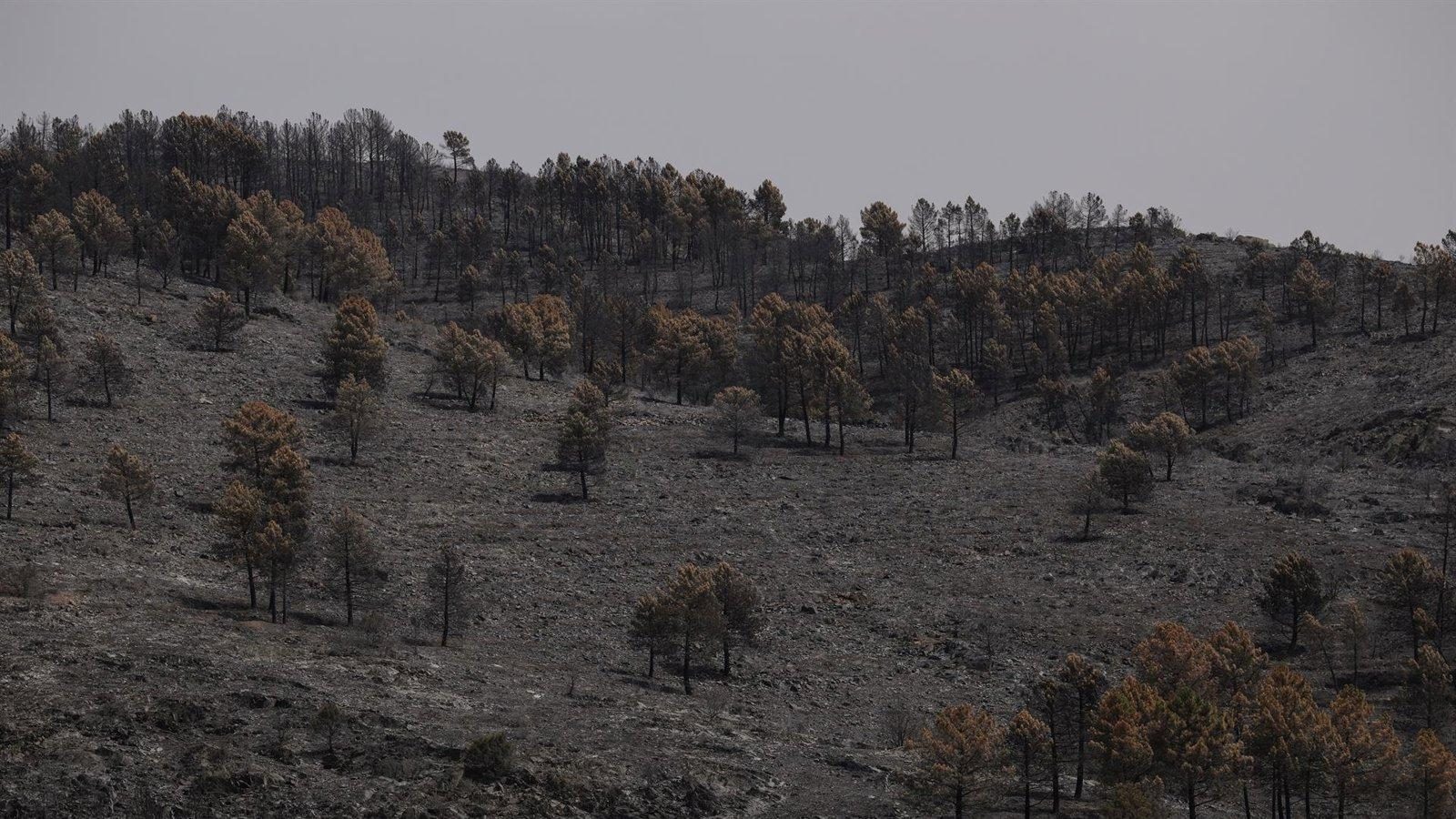 García-Page niega un pacto climático con la actual situación política