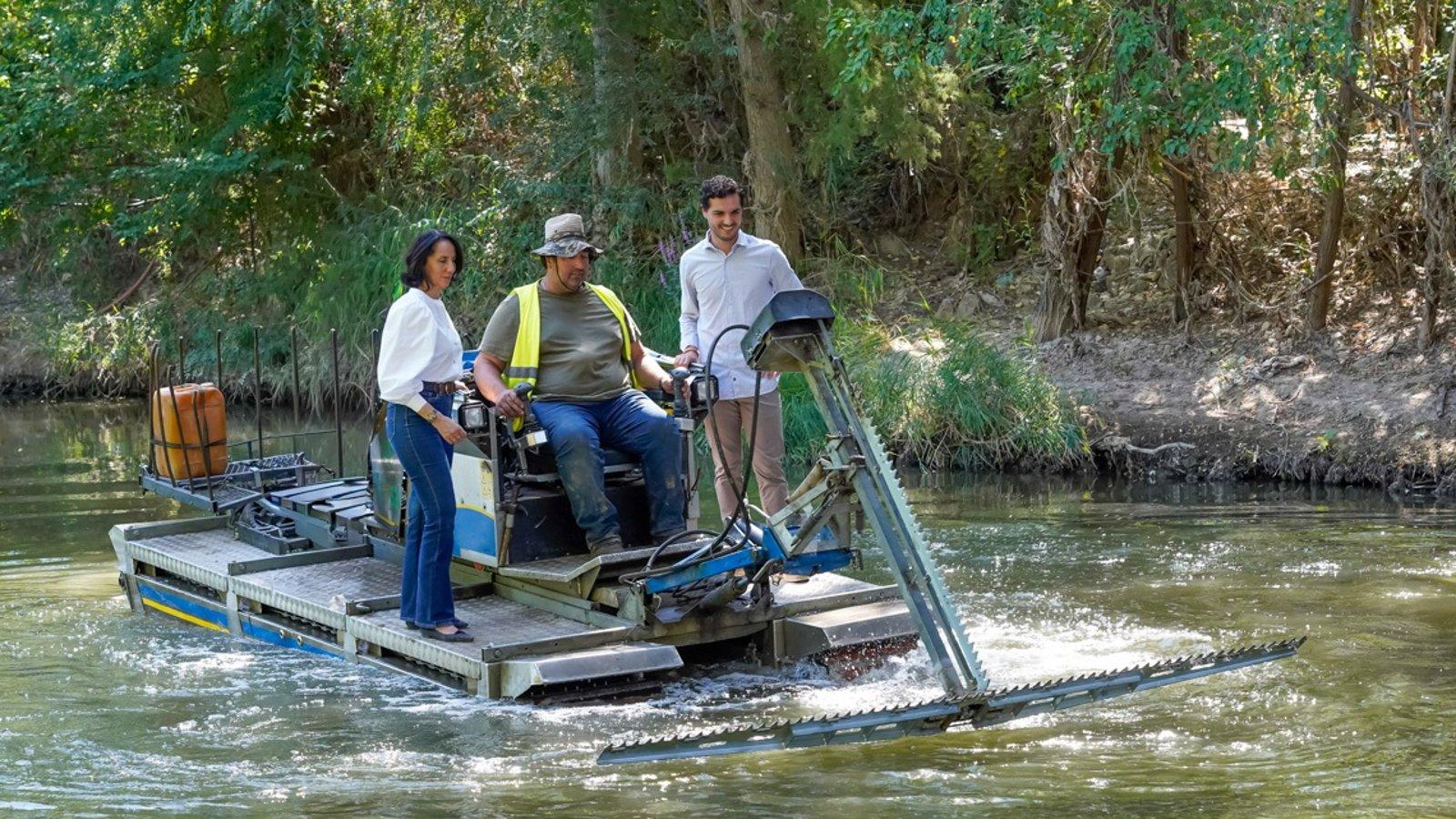 Torrejón intensifica la lucha contra los mosquitos en verano