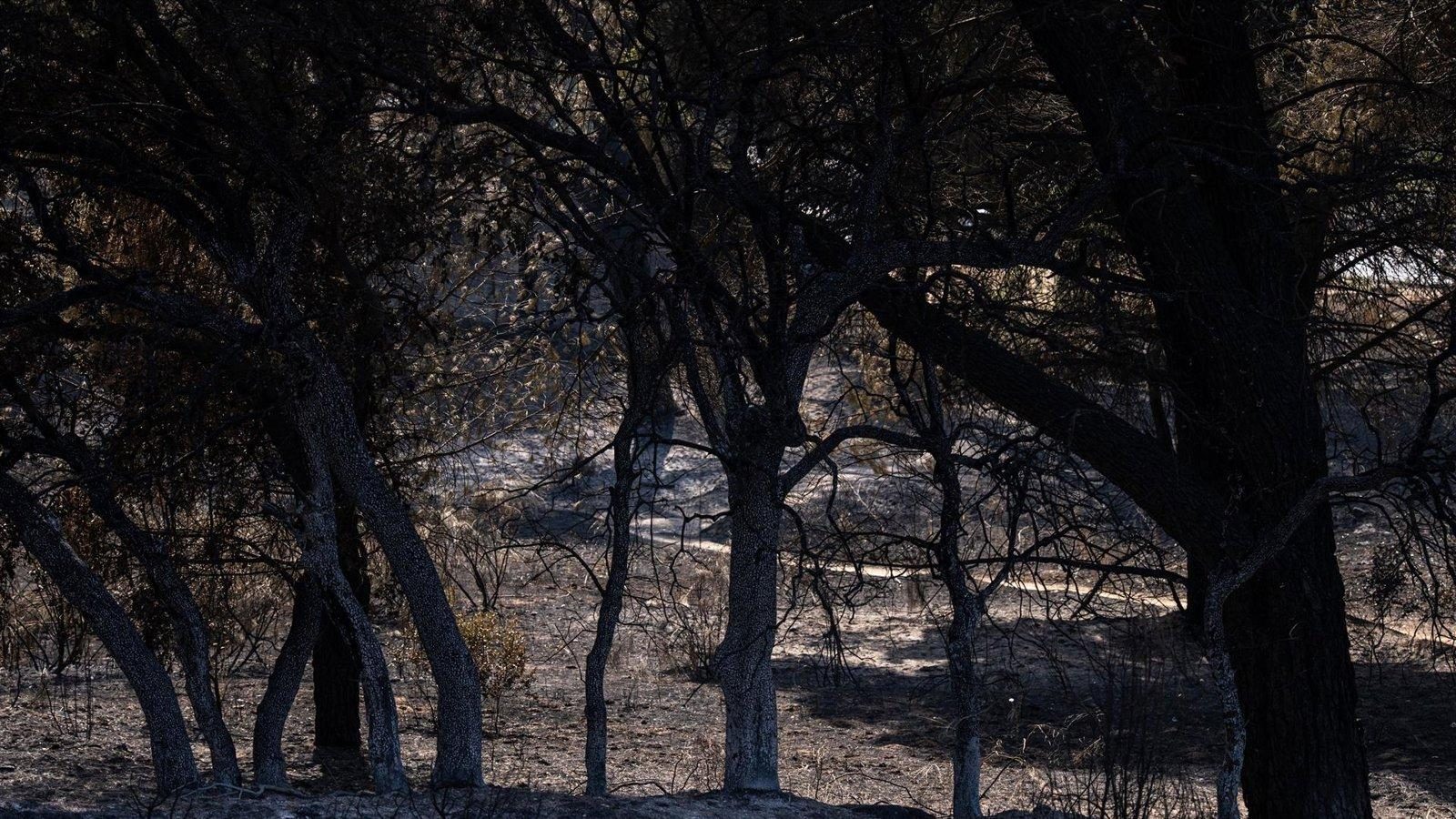 Madrid continúa la extinción nocturna de incendios en la sierra oeste