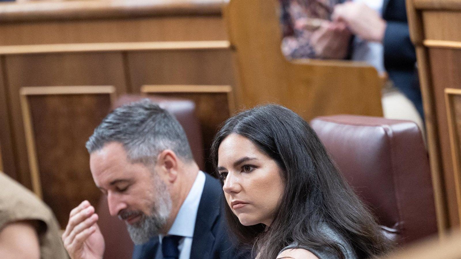 Vox propone disolver grupos parlamentarios que defiendan la independencia territorial