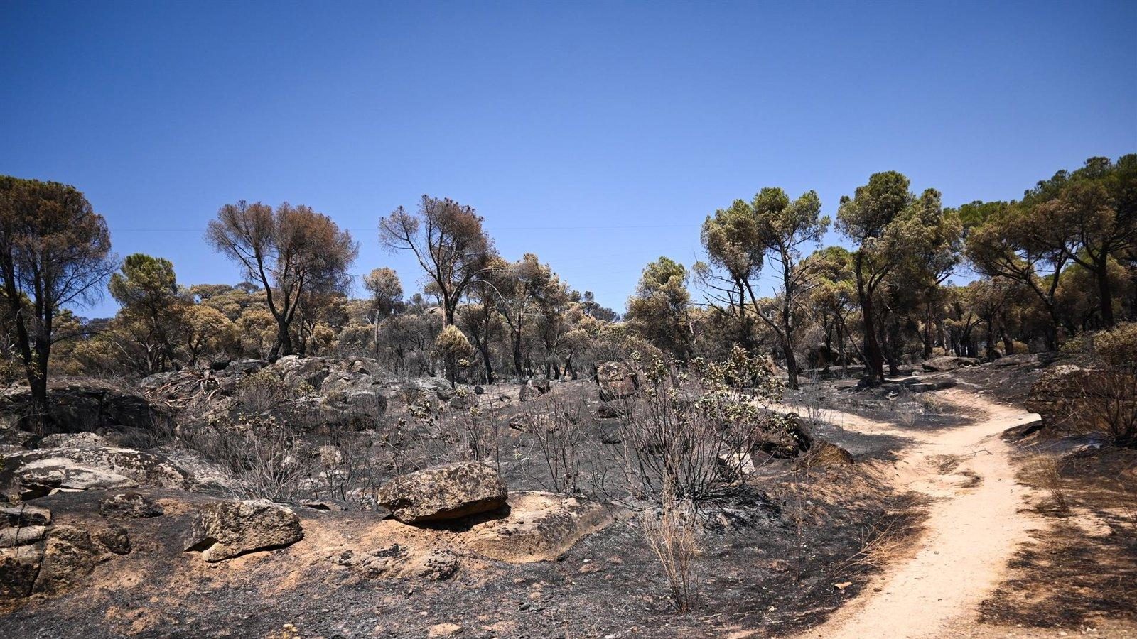 La Comunidad continúa los labores de extinción en el incendio 