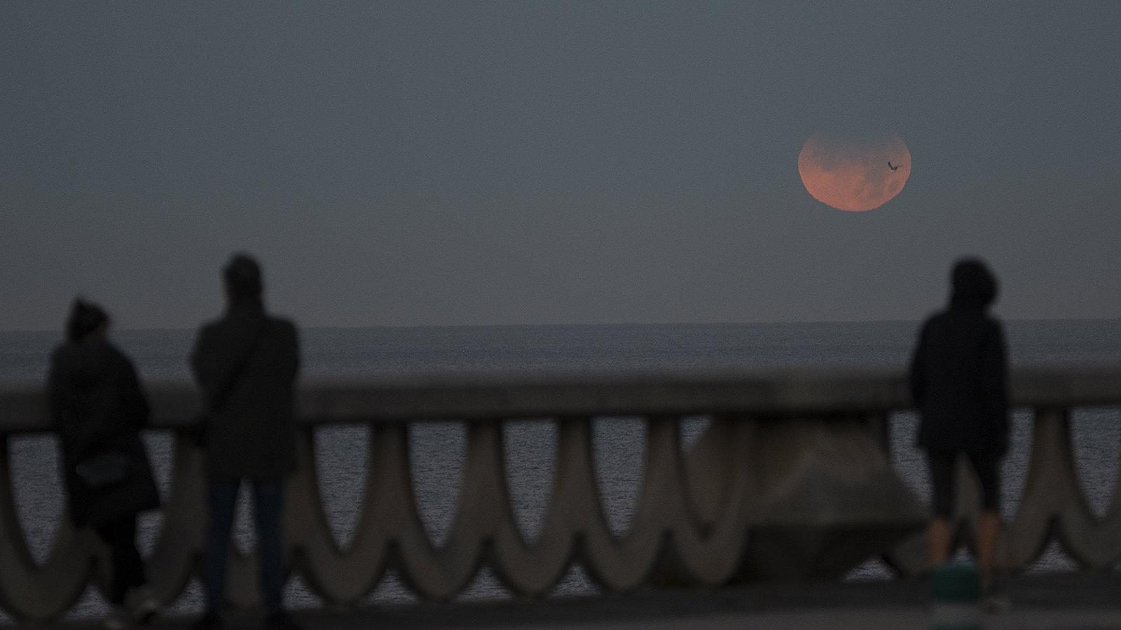 La Aemet advierte de riesgo extremo de incendios el día del eclipse La Aemet advierte de riesgo extremo de incendios el día del eclipse