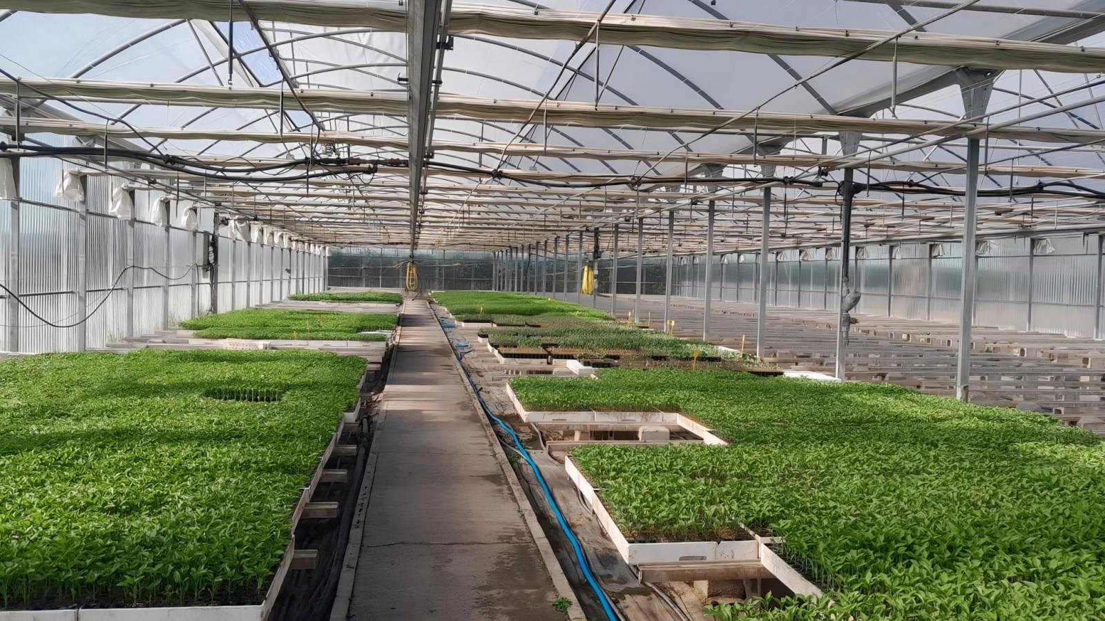 Madrid convierte 178.000 toneladas de lodo en abono agrícola