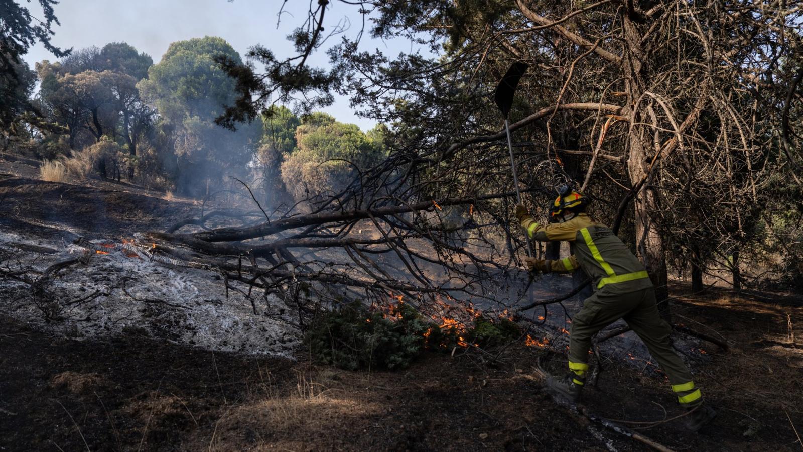 El incendio en Aldea del Fresno obliga al desalojo de urbanizaciones y queda en fase de estabilización El incendio en Aldea del Fresno obliga al desalojo de urbanizaciones y queda en fase de estabilización