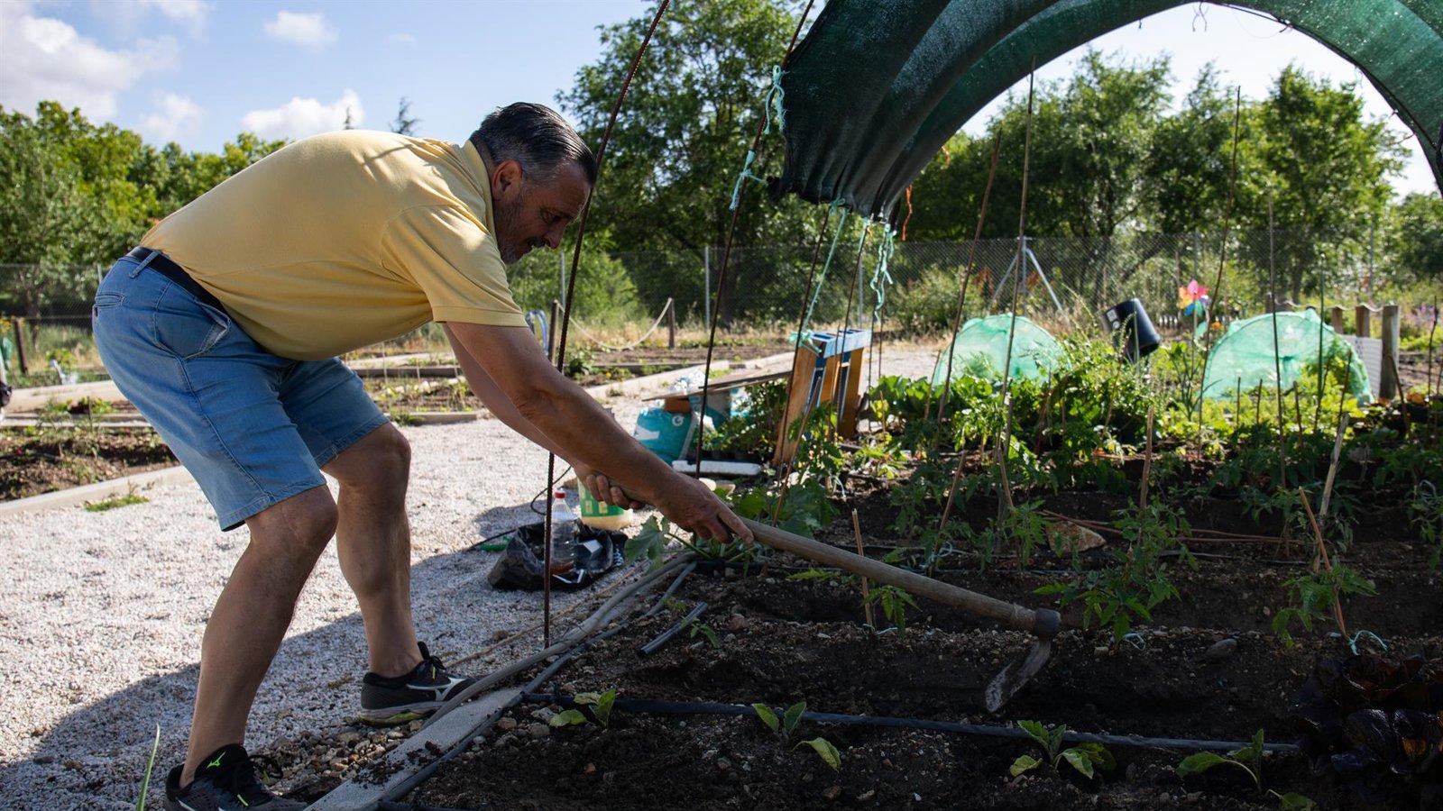 Madrid autoriza un nuevo huerto comunitario en Arganzuela
