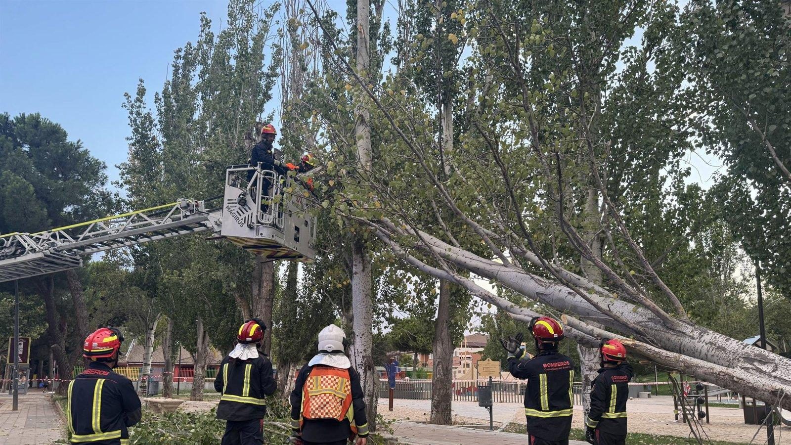 Los bomberos ejecutan 70 intervenciones en dos horas por las tormentas en la Comunidad de Madrid Los bomberos ejecutan 70 intervenciones en dos horas por las tormentas en la Comunidad de Madrid