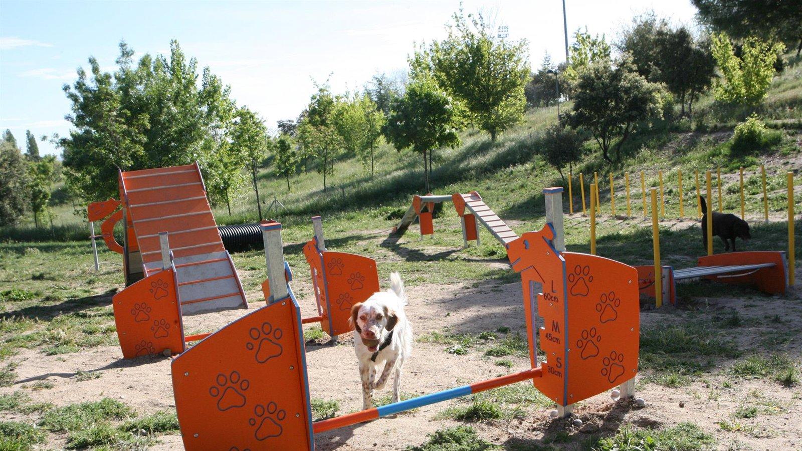 Tres Cantos regula paseo de perros con horario especial de verano