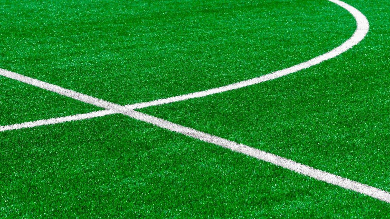 Madrid actualiza el reglamento de profesiones del deporte Madrid actualiza el reglamento de profesiones del deporte