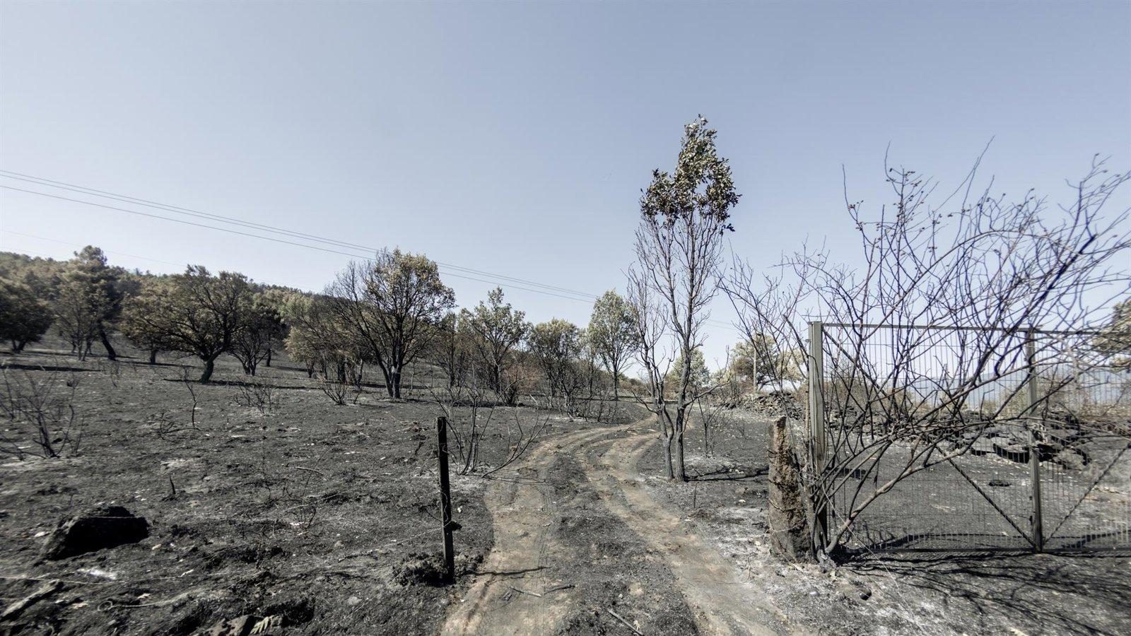 Prisión provisional para el investigado del incendio de Lozoyuela