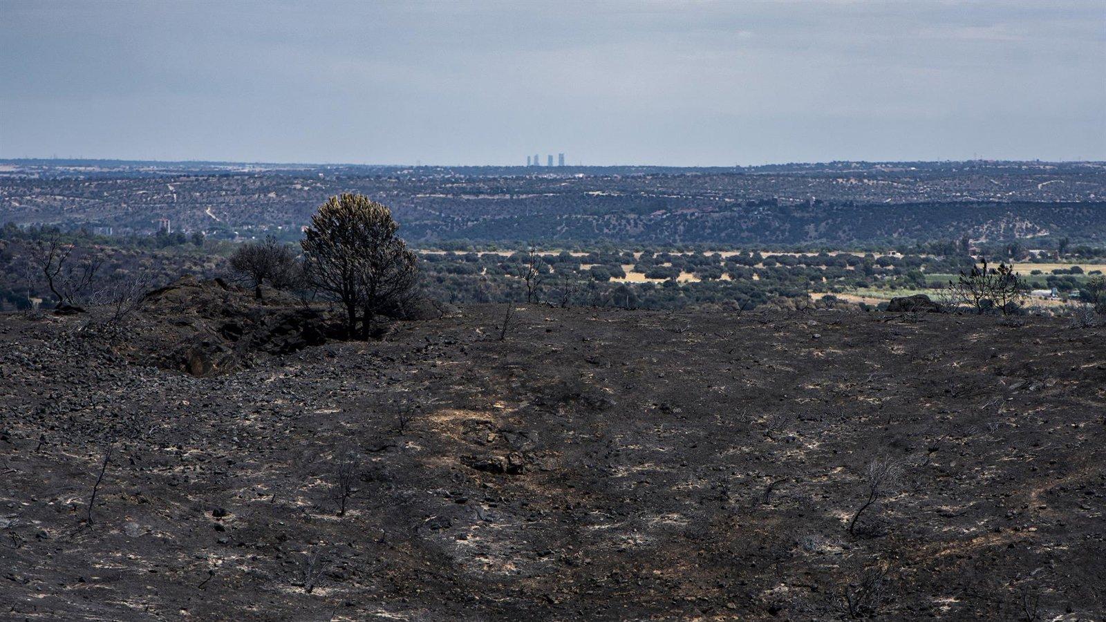 Madrid limita la caza en 75 cotos para recuperar especies tras incendios