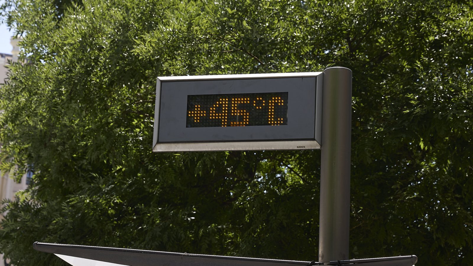 Las altas temperaturas causan 267 muertes en la región Las altas temperaturas causan 267 muertes en la región