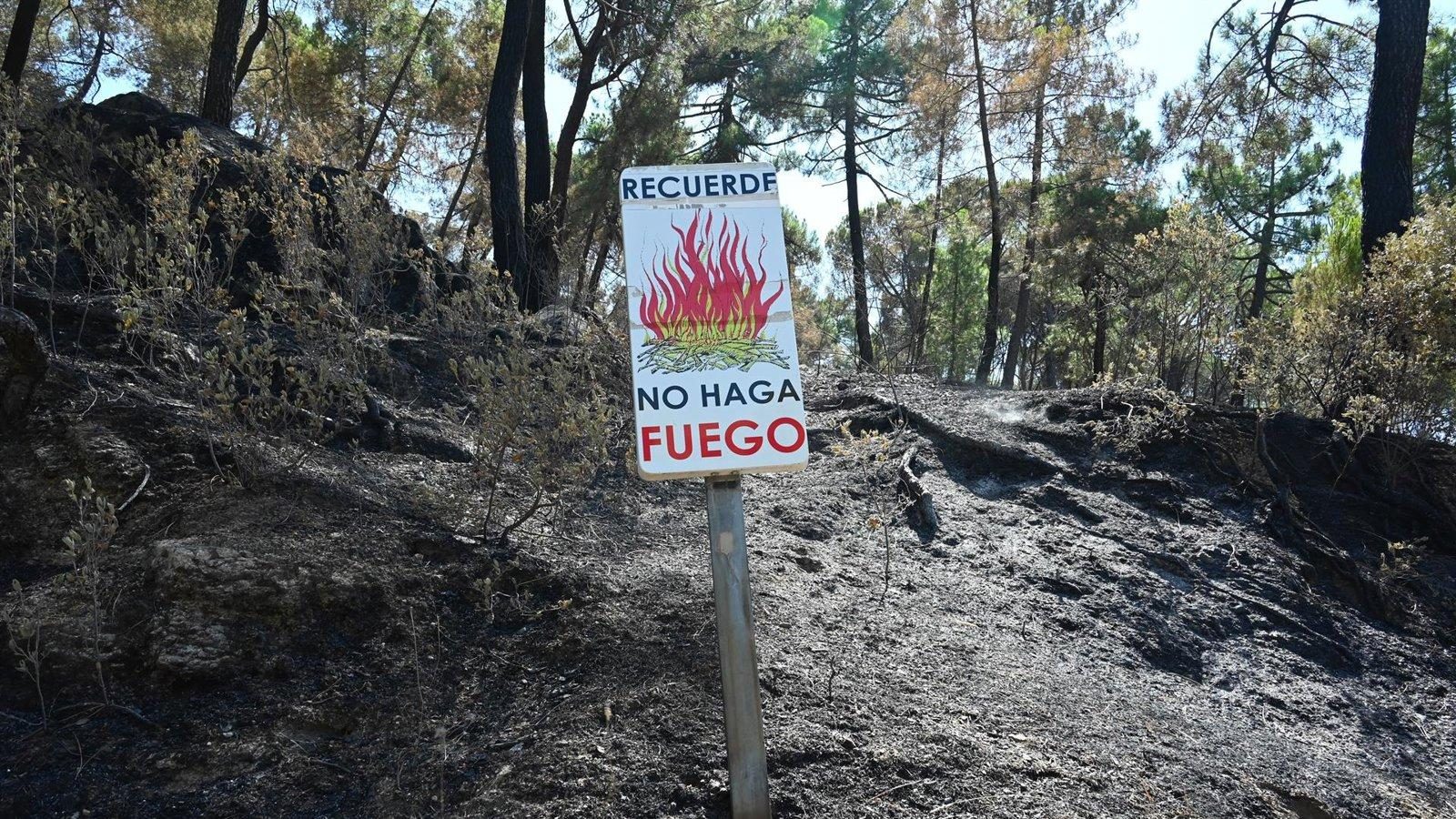 Ecologistas critican la falta de prevención en los incendios de Madrid Ecologistas critican la falta de prevención en los incendios de Madrid