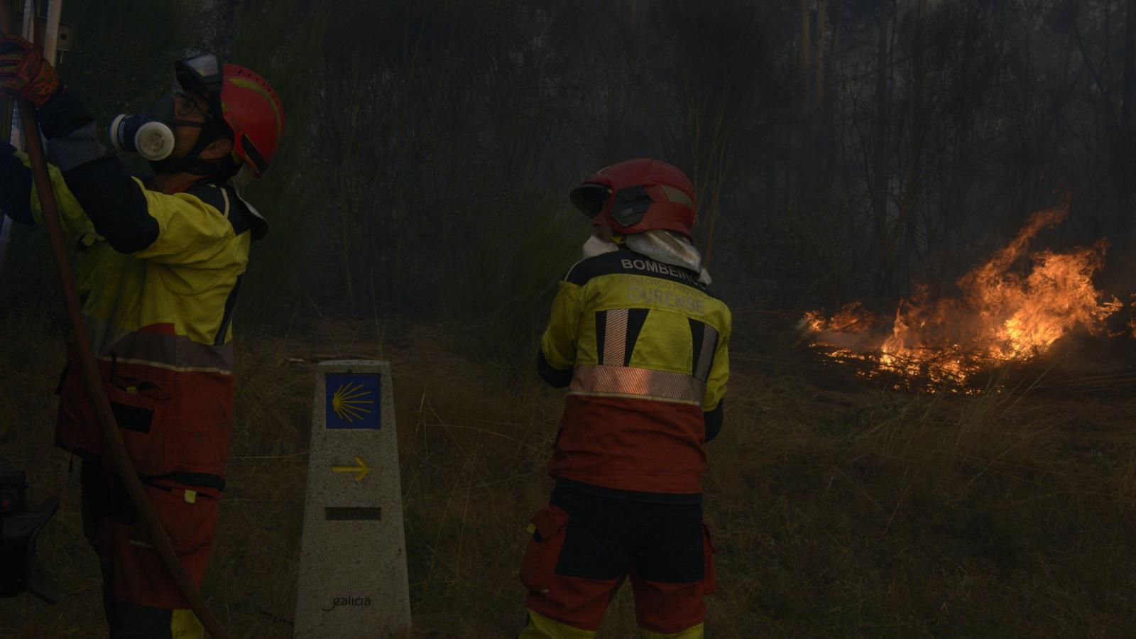 España acumula 262.030 hectáreas quemadas por los incendios en lo que va de año España acumula 262.030 hectáreas quemadas por los incendios en lo que va de año