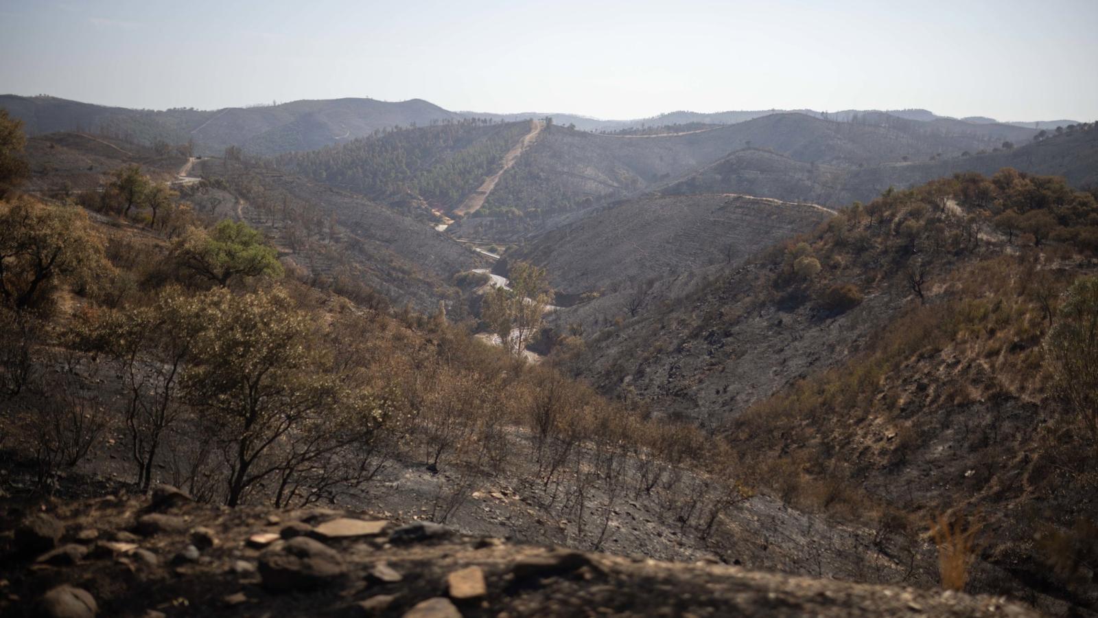 El incendio de Niebla, el segundo peor de la historia de Andalucía El incendio de Niebla, el segundo peor de la historia de Andalucía
