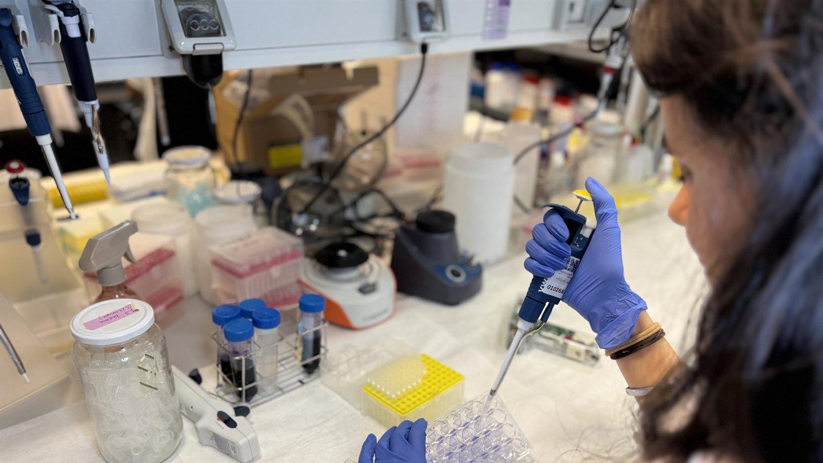Descubren cómo bloquear la agresividad del melanoma Descubren cómo bloquear la agresividad del melanoma
