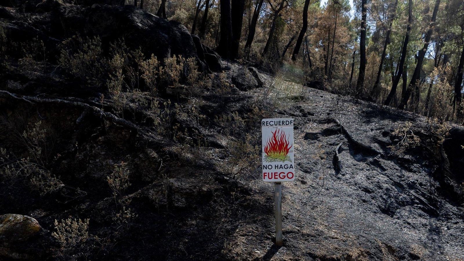 Vecinos de El Retamar denuncian inactividad del Ayuntamiento ante los incendios Vecinos de El Retamar denuncian inactividad del Ayuntamiento ante los incendios