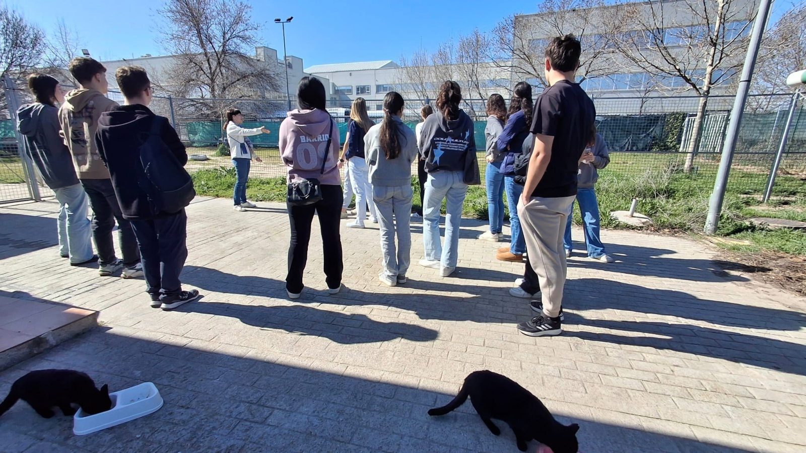 El Área de Juventud de Las Rozas contabiliza 5.279 participantes en el curso 2025-26 El Área de Juventud de Las Rozas contabiliza 5.279 participantes en el curso 2025-26