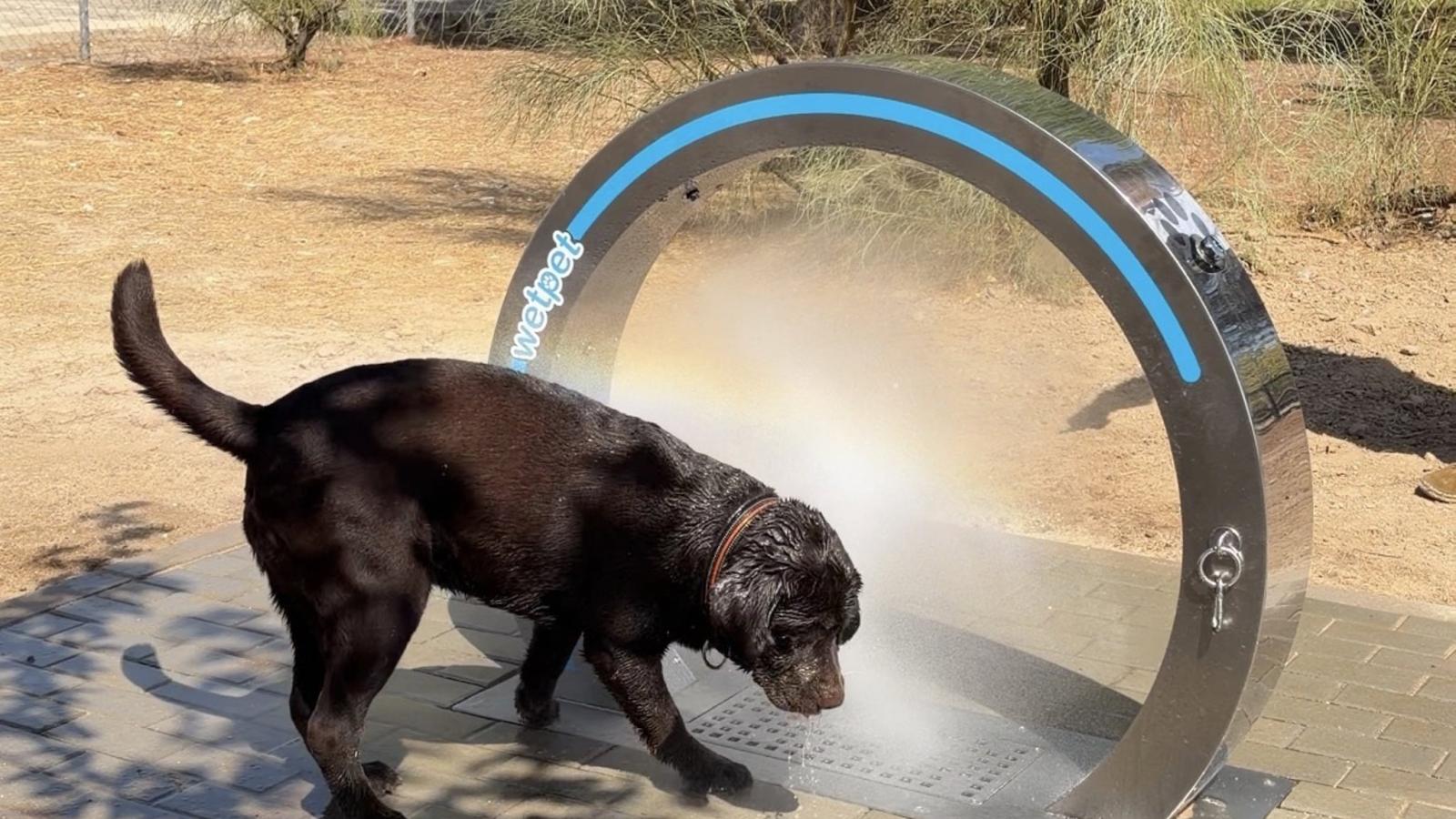El Ayuntamiento de Las Rozas pone en marcha la primera ducha canina en El Cantizal El Ayuntamiento de Las Rozas pone en marcha la primera ducha canina en El Cantizal