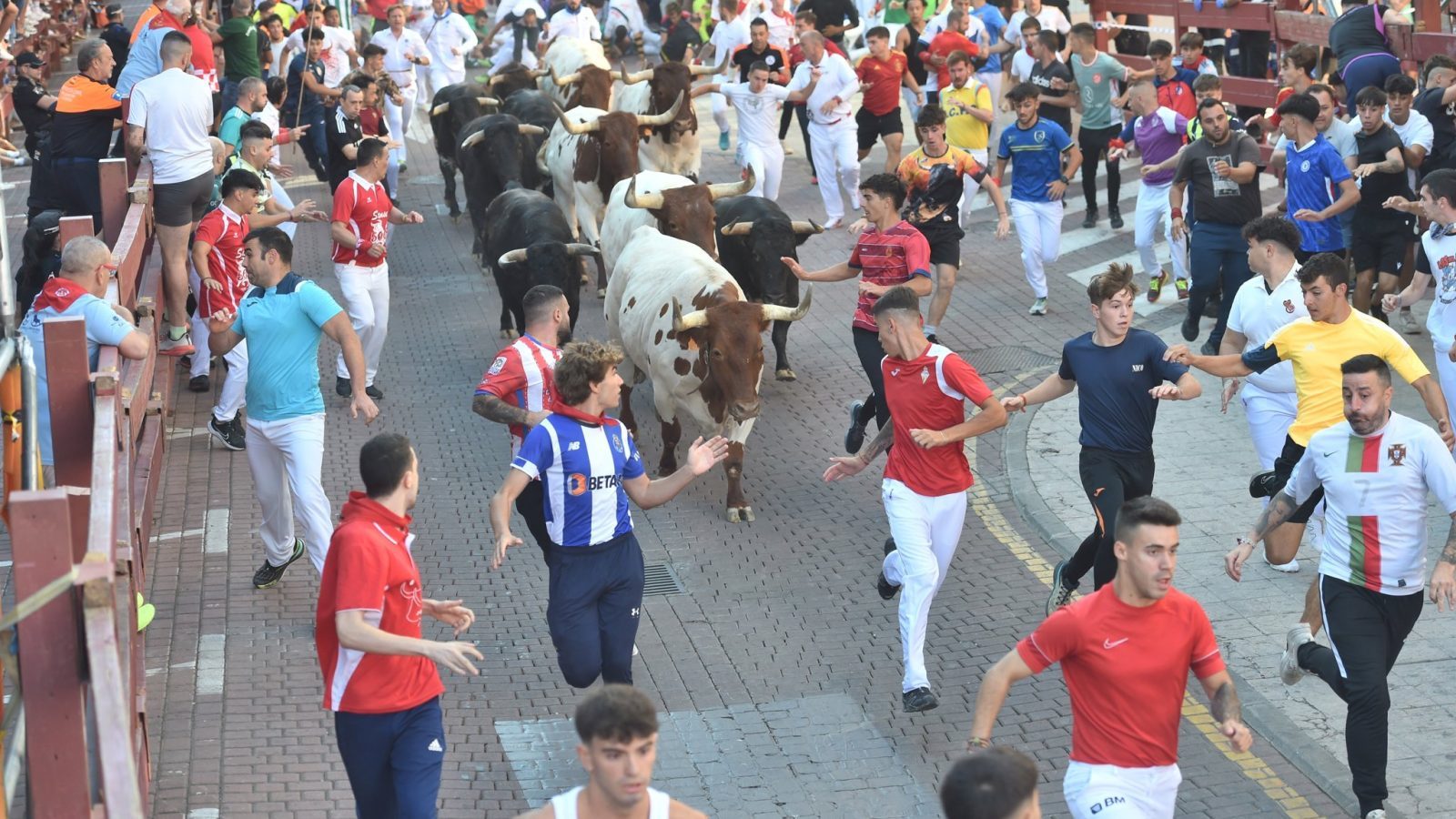 Abren los corrales de los encierros de San Sebastián de los Reyes Abren los corrales de los encierros de San Sebastián de los Reyes