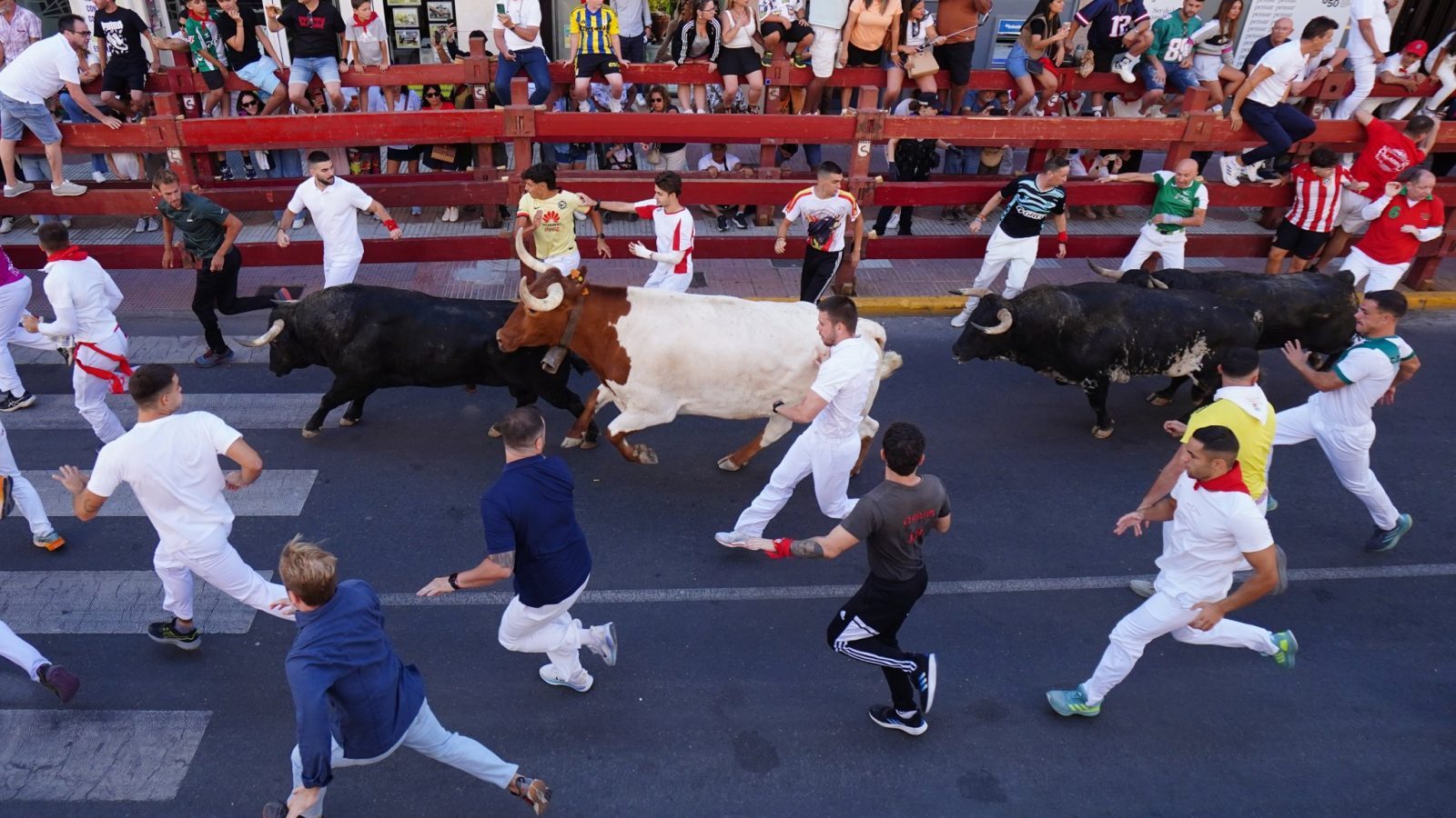 Siete heridos en el tercer encierro de San Sebastián de los Reyes Siete heridos en el tercer encierro de San Sebastián de los Reyes