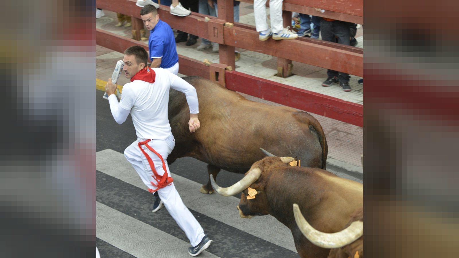 El cuarto encierro de San Sebastián de los Reyes deja nueve heridos leves