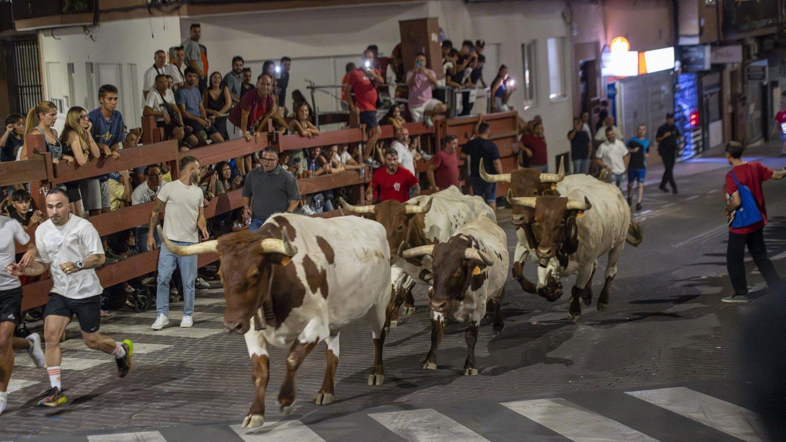 San Sebastián de los Reyes celebra la suelta de reses el 22 de agosto
