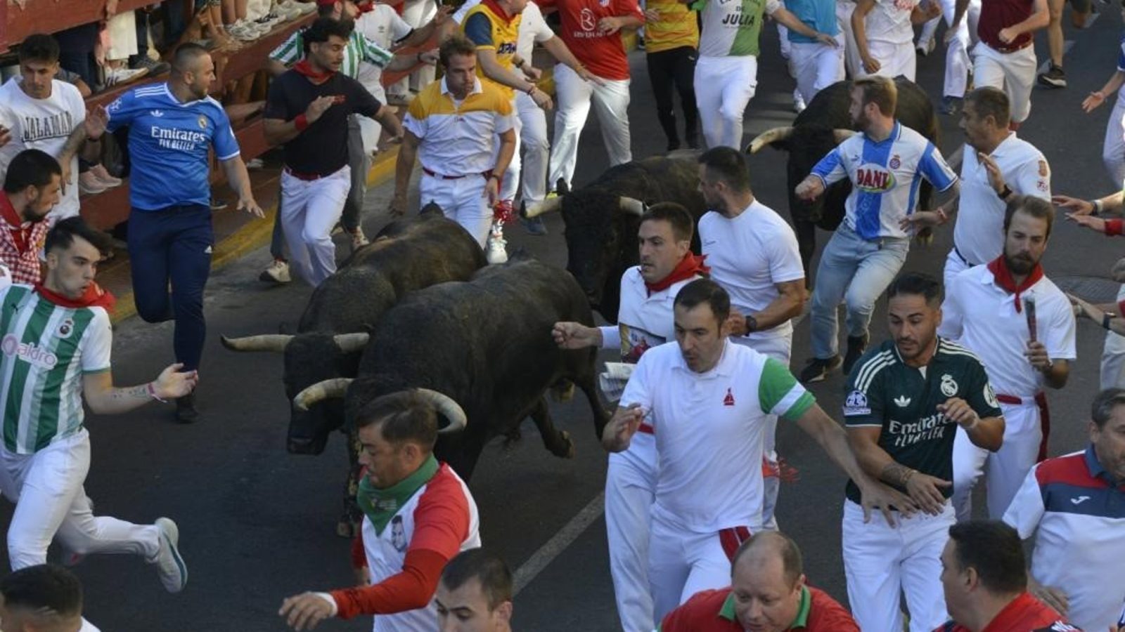 San Sebastián celebra el séptimo encierro más rápido de las fiestas San Sebastián celebra el séptimo encierro más rápido de las fiestas