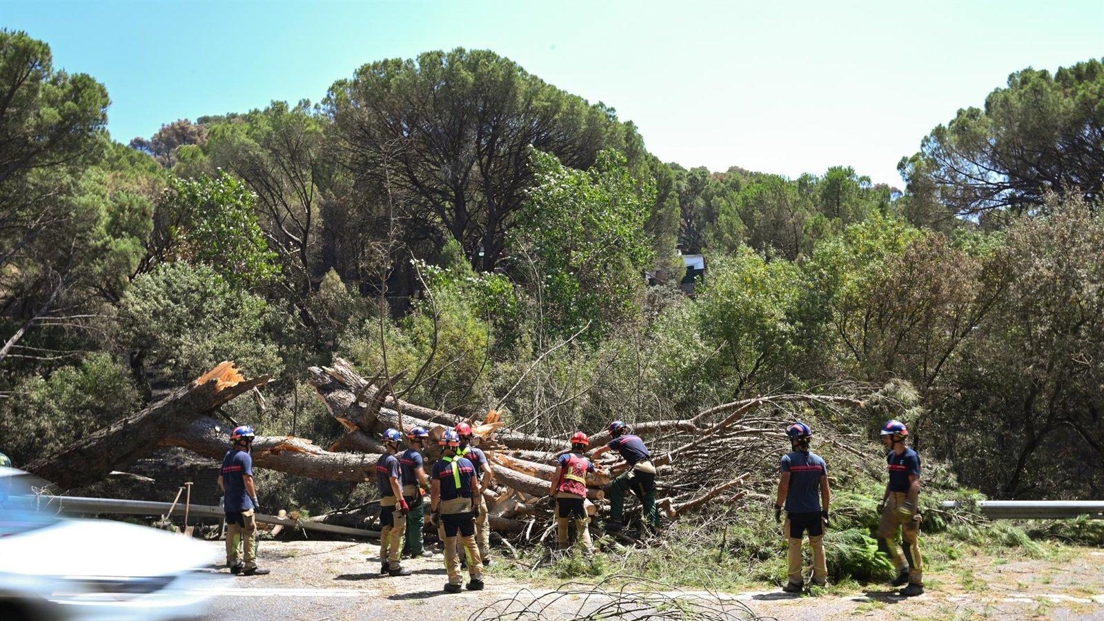 El incendio de la Sierra Oeste no registró reproducciones durante la noche, según ASEM112