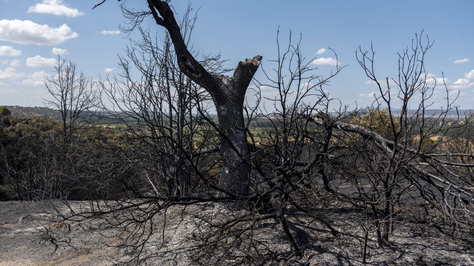 Nuevas ayudas regionales para pymes y autónomos afectados por el incendio