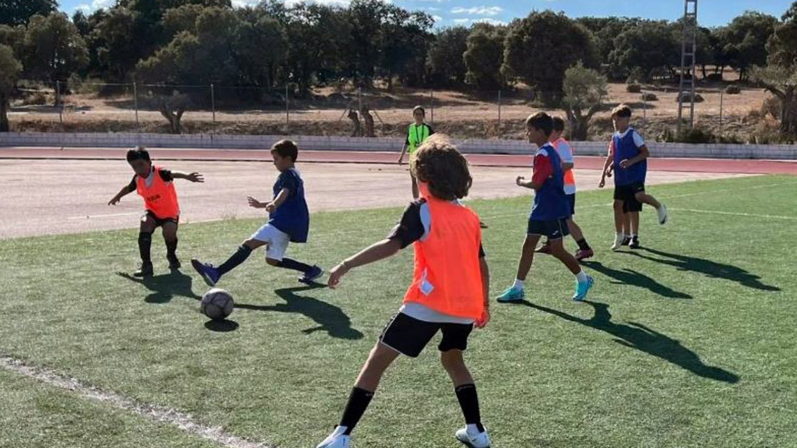 121 municipios recibirán ayudas de Madrid para el deporte escolar