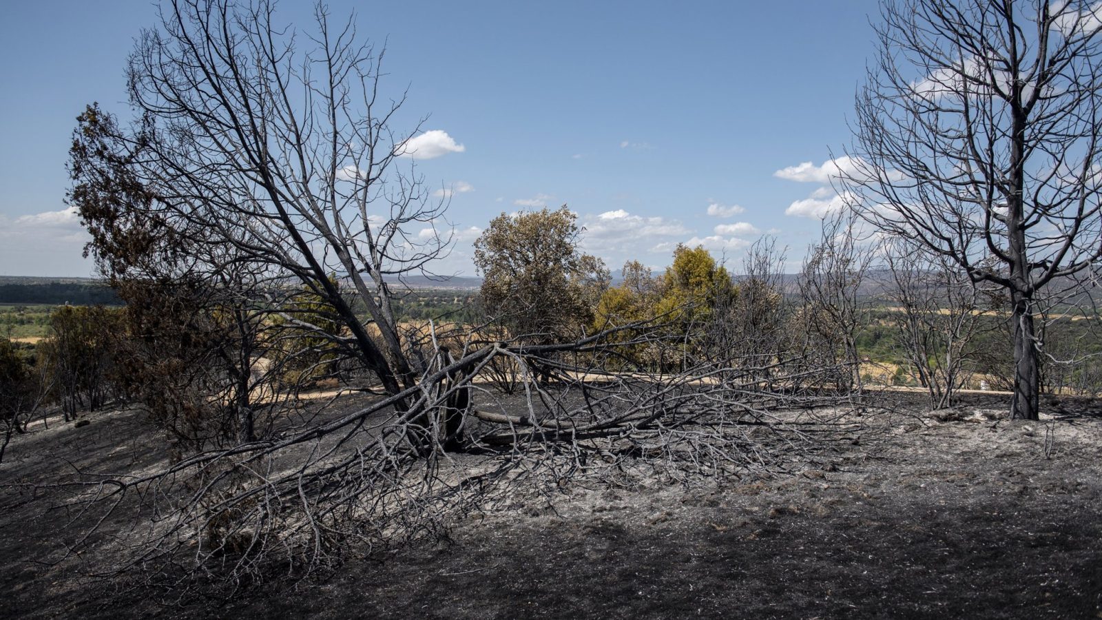 La Comunidad despliega 177 vehículos para recuperar la Sierra Oeste La Comunidad despliega 177 vehículos para recuperar la Sierra Oeste