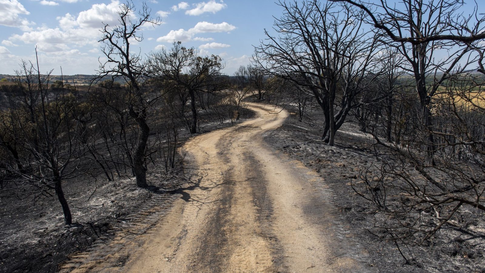 Puntos de agua y alimentación para recuperar los montes de la Sierra Oeste