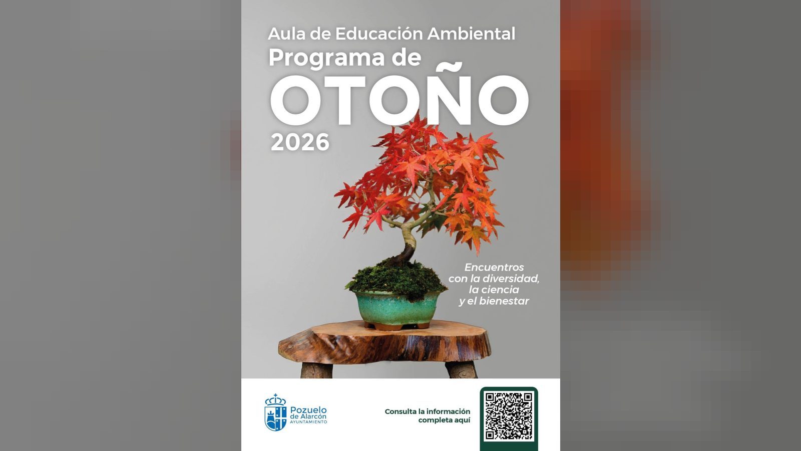 El Aula de Educación Ambiental estrena su programa de otoño El Aula de Educación Ambiental estrena su programa de otoño