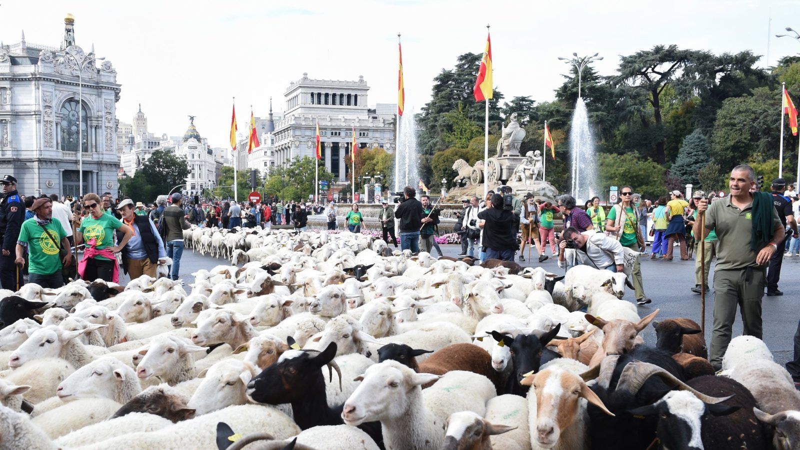 La Fiesta de la Trashumancia cambia su recorrido por la acampada de Sol La Fiesta de la Trashumancia cambia su recorrido por la acampada de Sol