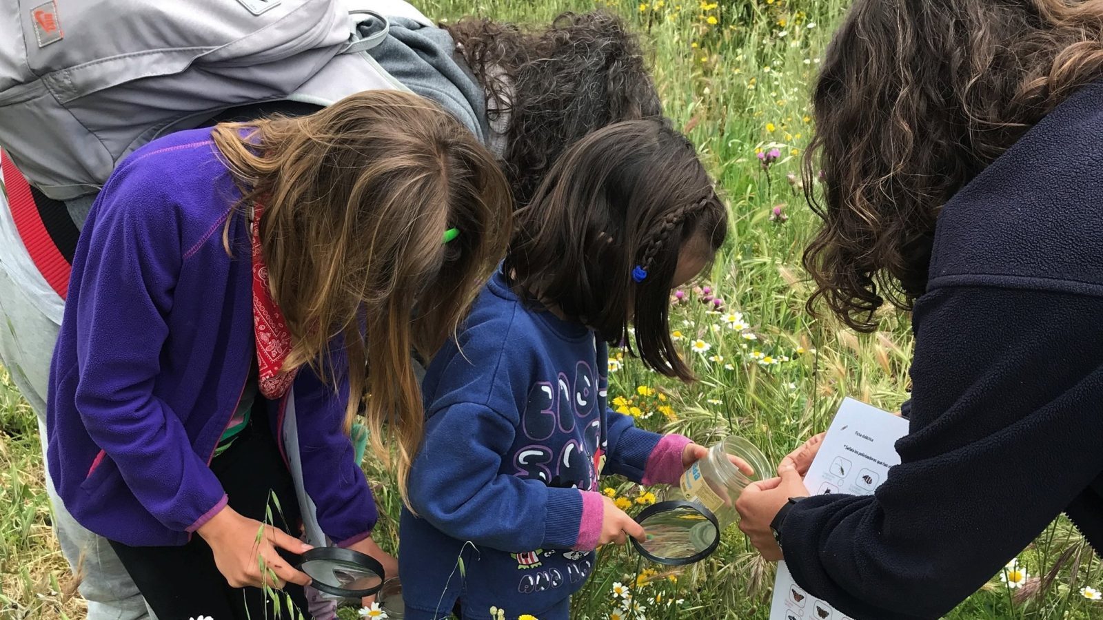 La Comunidad organiza 200 actividades gratuitas este otoño La Comunidad organiza 200 actividades gratuitas este otoño