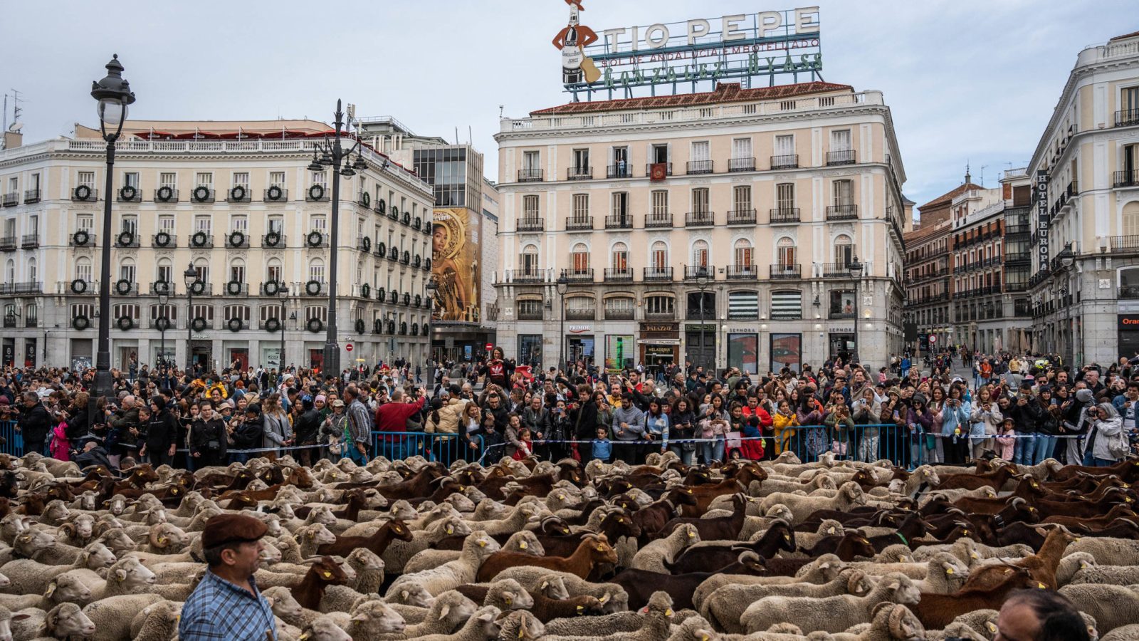 La acampada de Sol podría cambiar la ruta de la Fiesta de la Trashumancia La acampada de Sol podría cambiar la ruta de la Fiesta de la Trashumancia