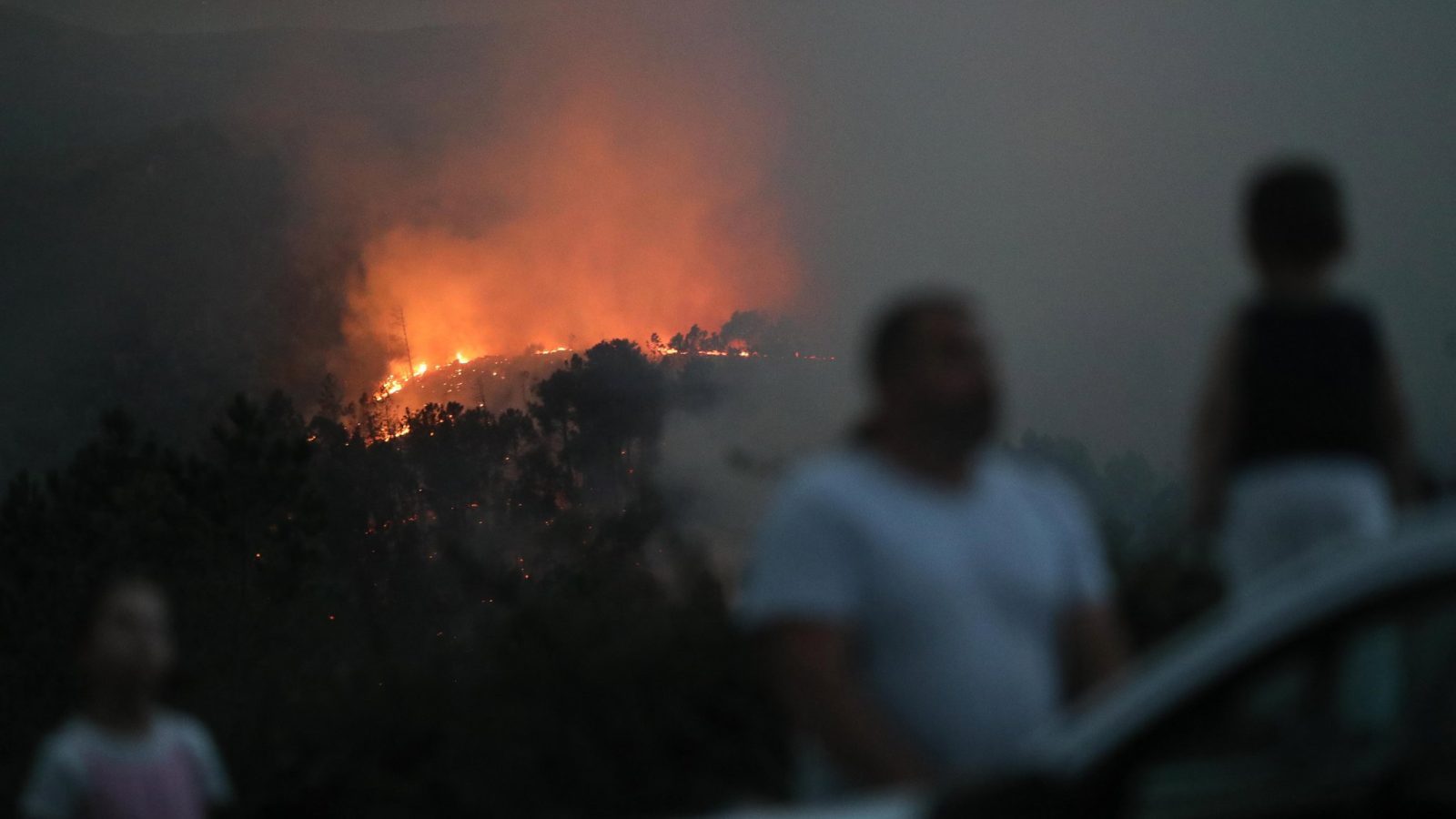 La Comisión Europea concede 120,5 millones a España por los daños de los incendios La Comisión Europea concede 120,5 millones a España por los daños de los incendios