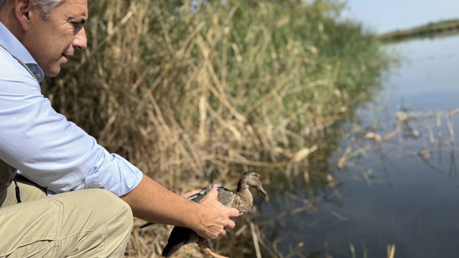 La Comunidad crea una red de 60 observatorios de fauna silvestre La Comunidad crea una red de 60 observatorios de fauna silvestre