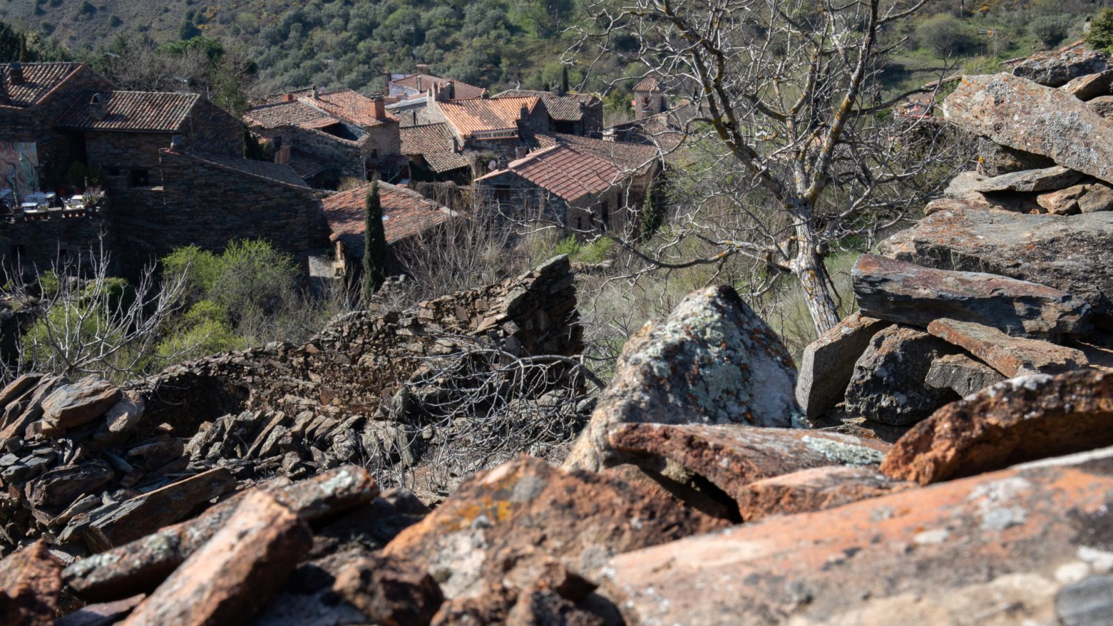 La UE reconoce la estrategia regional para repoblar pueblos pequeños