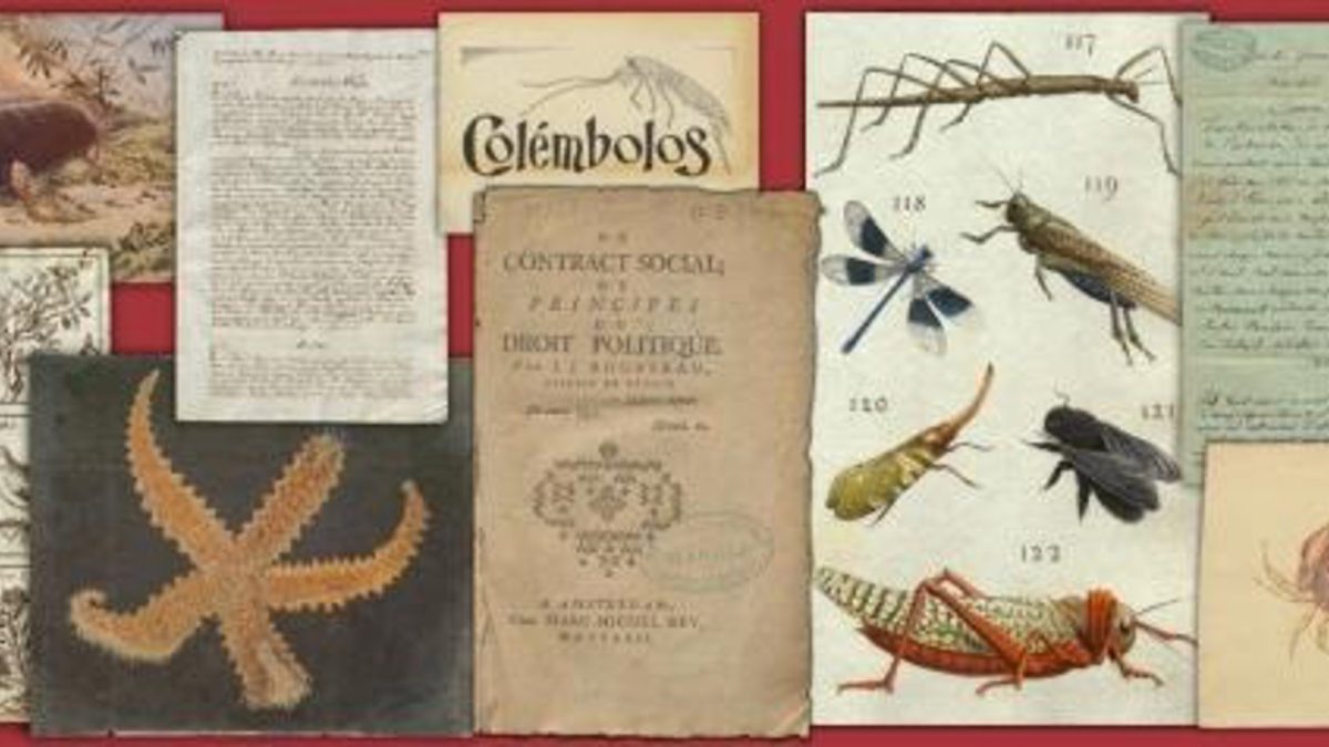 El Museo de Ciencias Naturales abre 35.000 imágenes digitales El Museo de Ciencias Naturales abre 35.000 imágenes digitales