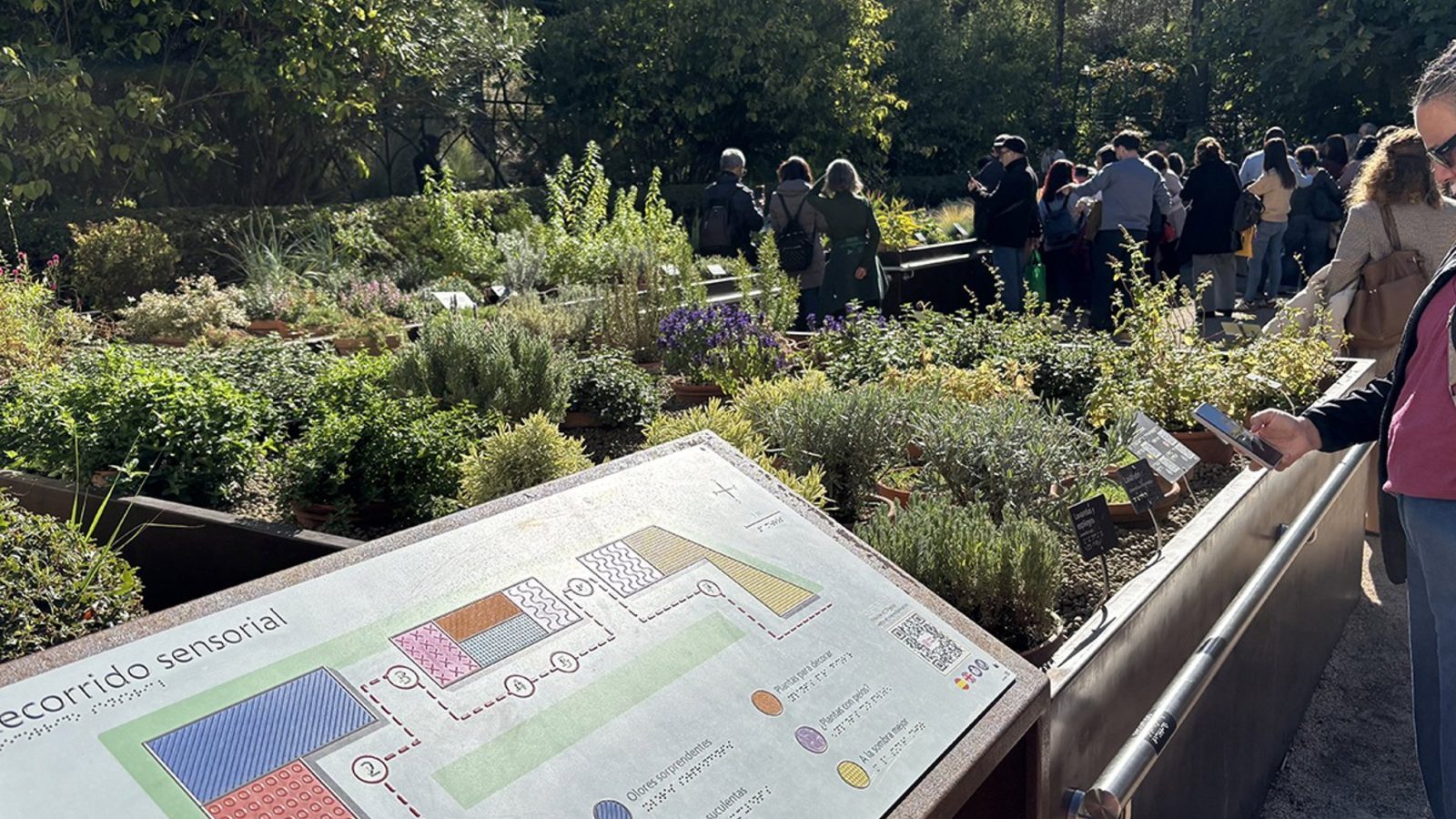 El Real Jardín Botánico inaugura un recorrido sensorial accesible El Real Jardín Botánico inaugura un recorrido sensorial accesible