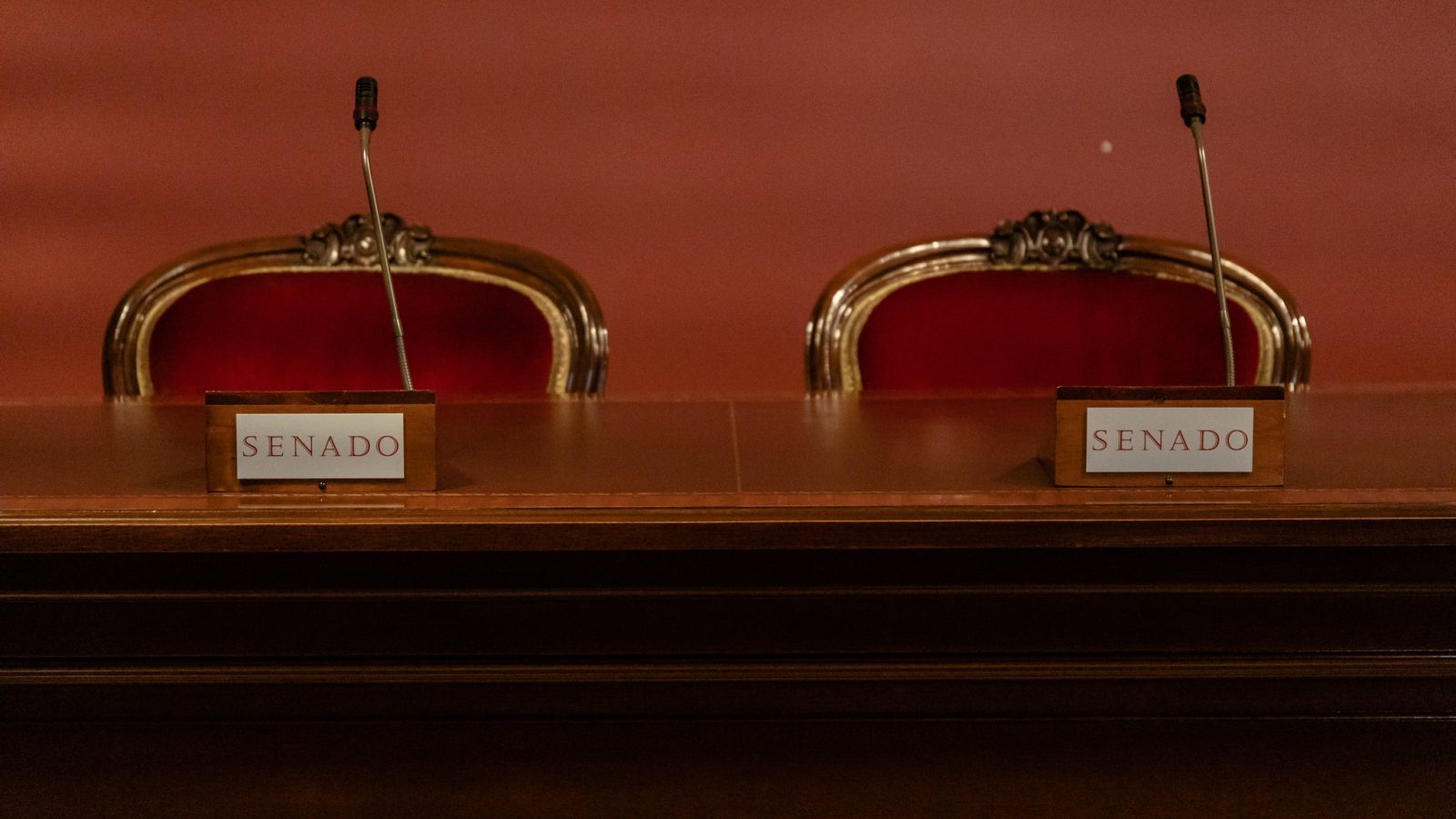 El Senado reúne a expertos para abordar el uso de la IA El Senado reúne a expertos para abordar el uso de la IA