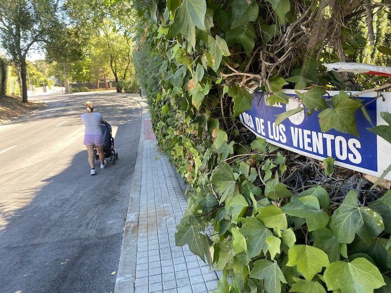 Vecinos por Majadahonda pide recortar los setos que invaden las aceras del municipio