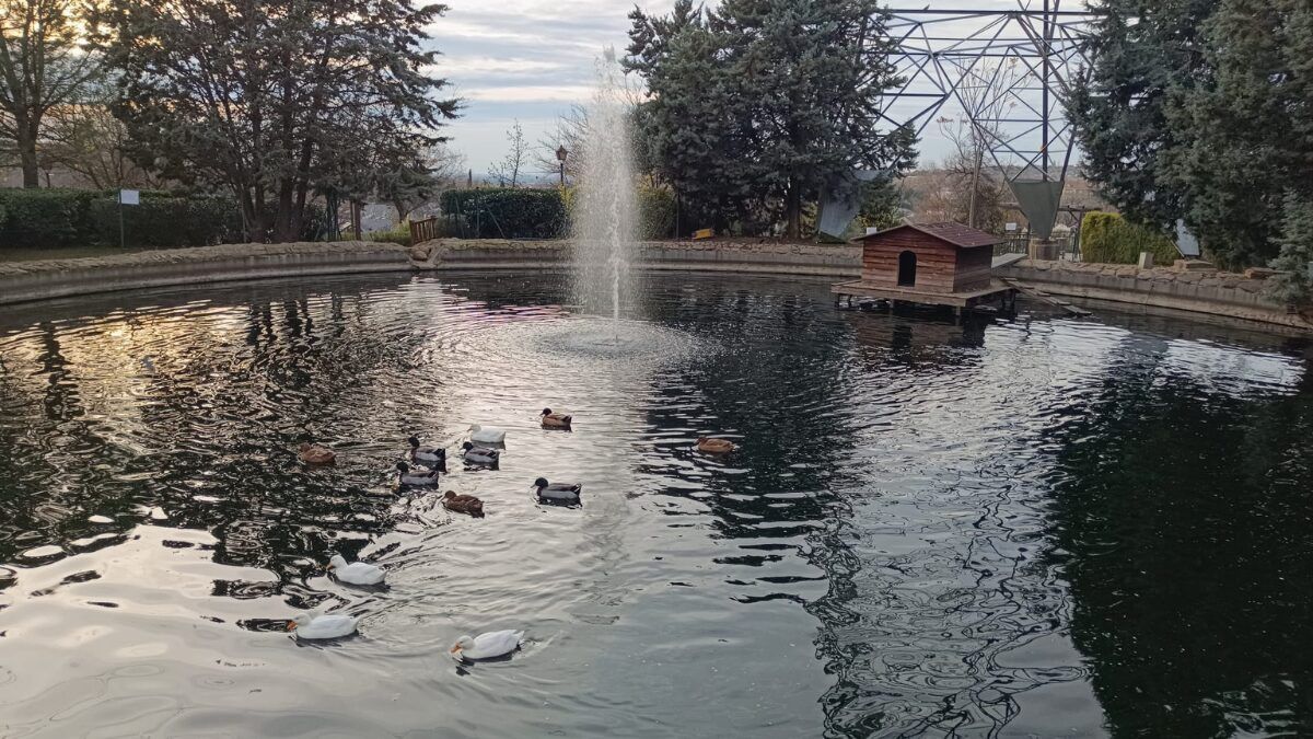 VOX propone medidas contra la gripe aviar en Arroyomolinos sin apoyo municipal