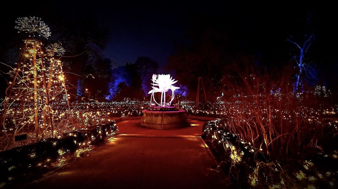 Naturaleza Encendida: Un espectáculo único que combina luz, arte y naturaleza
