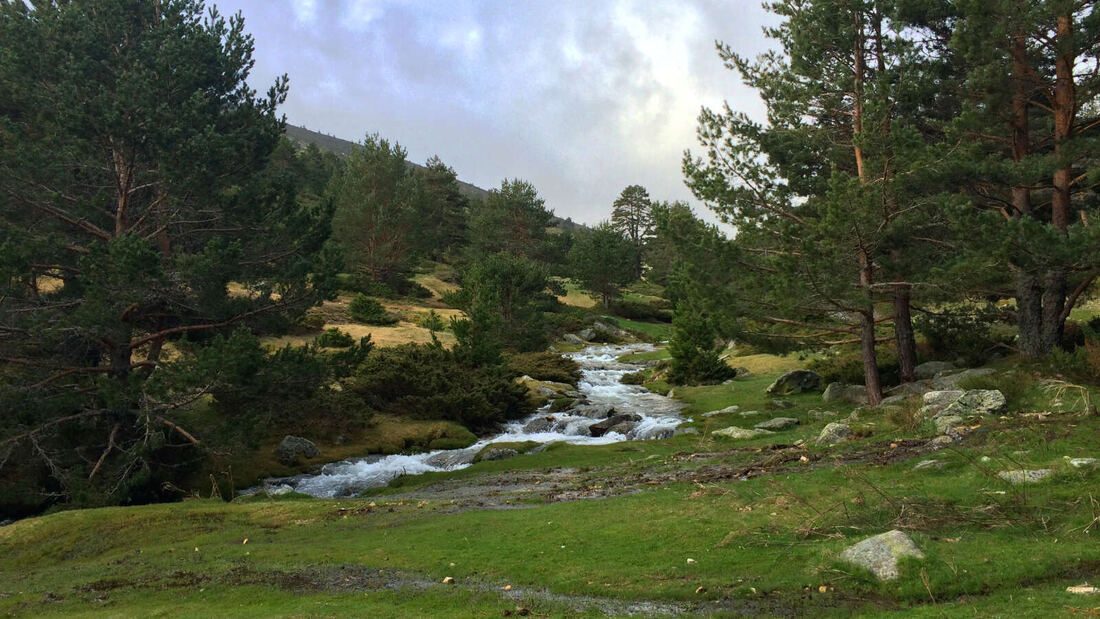 Descubre la Sierra Norte de Madrid: El GR-10, una ruta entre dos mares