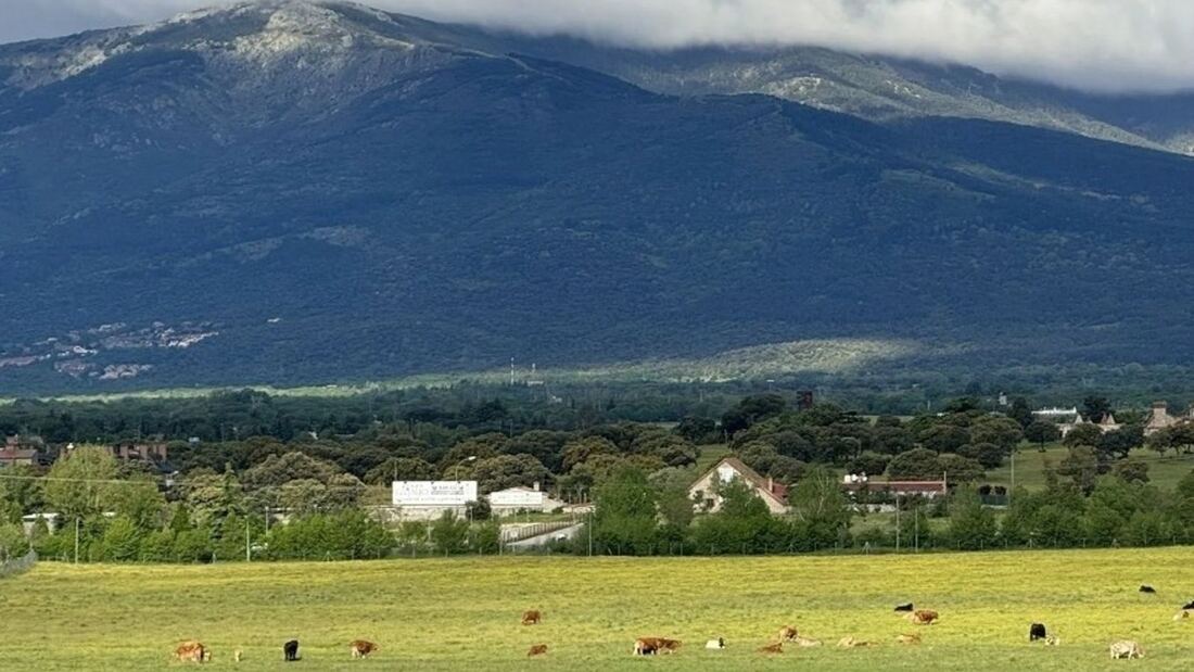 Reclaman al Ayuntamiento de Collado Villalba proteger la Dehesa Boyal durante las fiestas