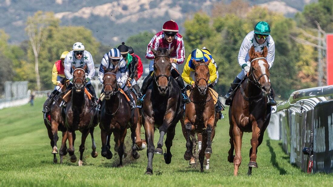 Almeida entrega el Gran Premio 80 Aniversario del Hipódromo de la Zarzuela