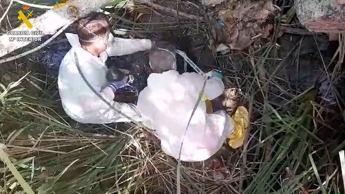 Acusan de maltrato animal al dueño de dos perros por arrojarlos con lastre a una poza de Valdetorres de Jarama